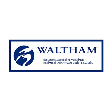 image waltham_gorsel3_1675694270247